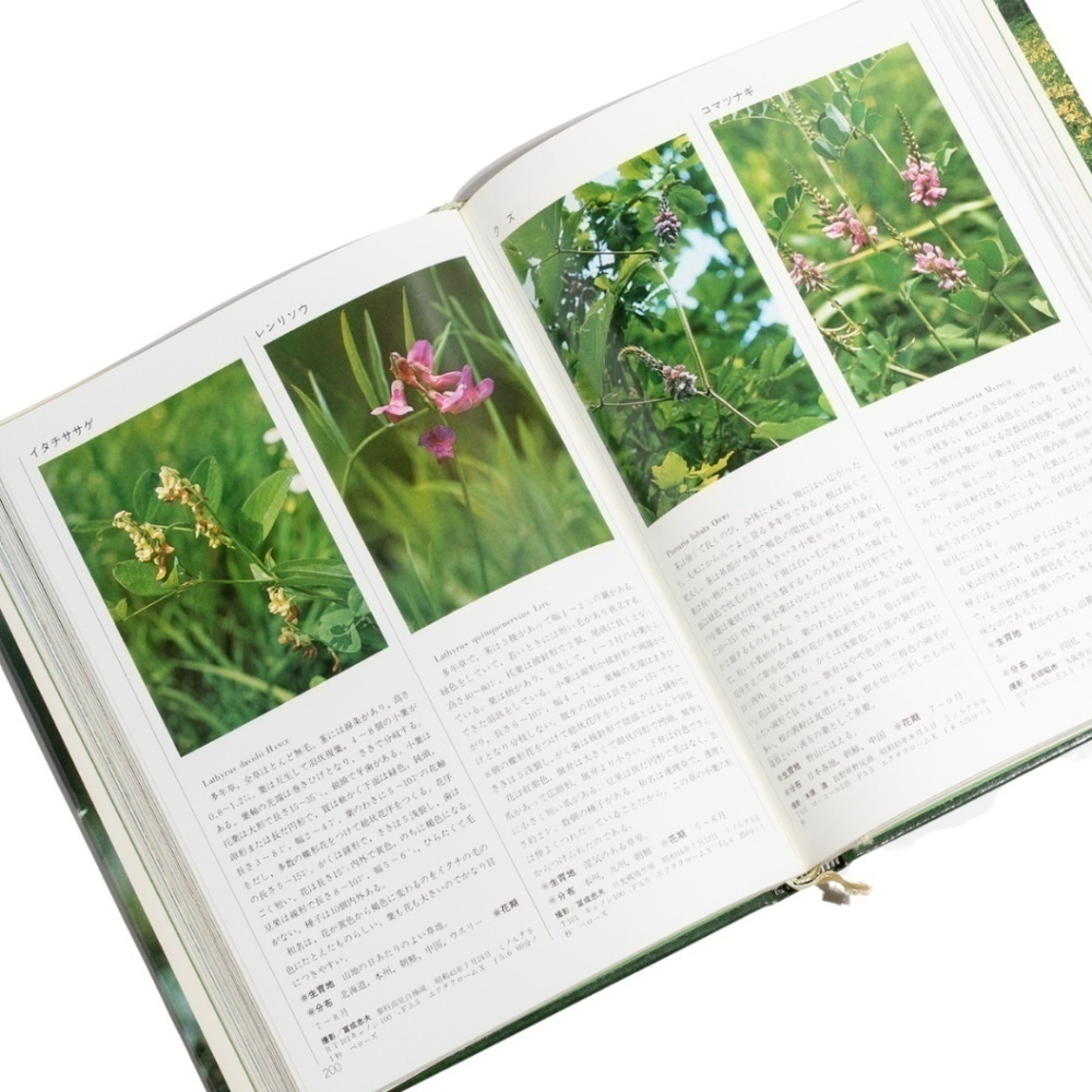 Wildflowers of Japan (Japanese Edition) with Slipcover by Yamakei Color Deluxe c - Picture 6 of 10